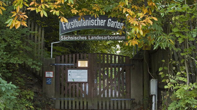 Forstbotanischer Garten Tharandt